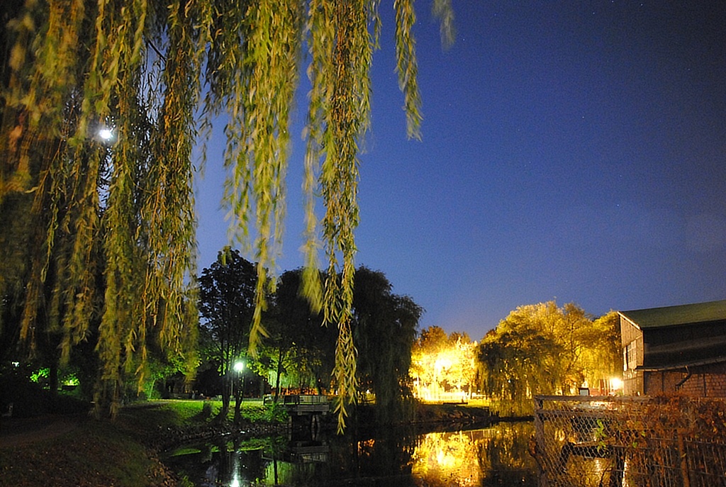 Wilhelmsburg at night