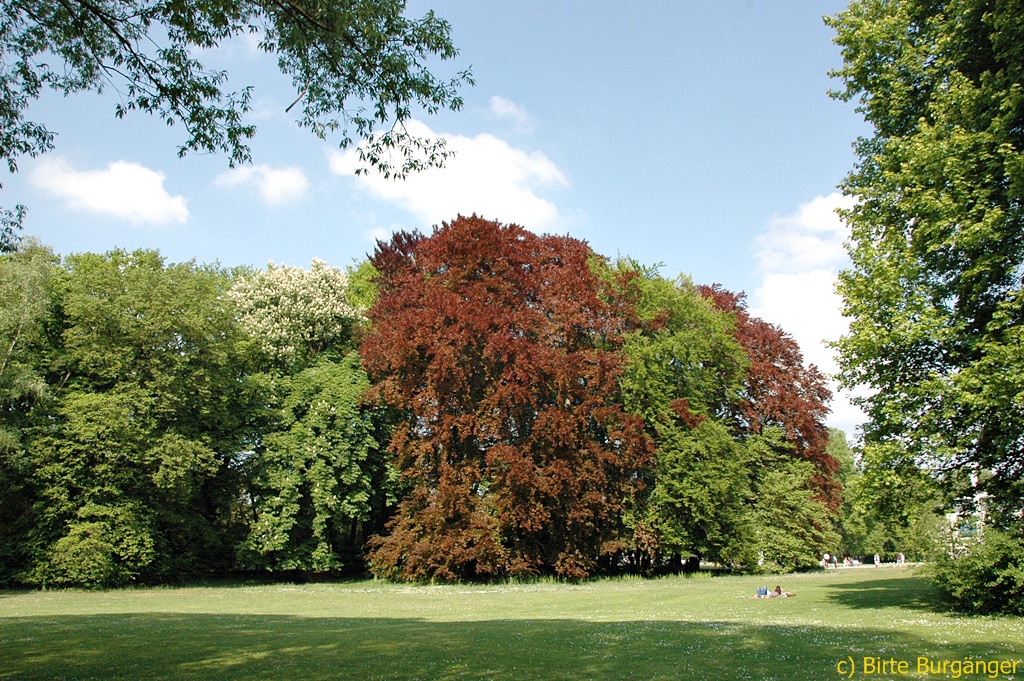 Stadtpark in Regensburg und Donauimpressionen